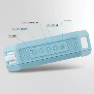 Voice assistant integrated speaker