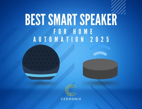 best smart speaker for home automation 2025